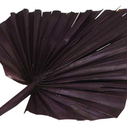 Article Palmspear Feuilles de palmier Fuchsia Berry, blanchi 65pcs