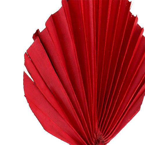 Article Palmspear Rouge 65 pcs