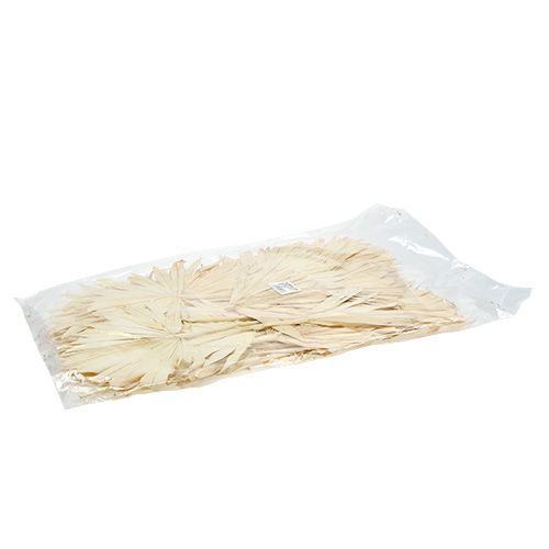 Article Palmspear Sun blanchi 30 pcs