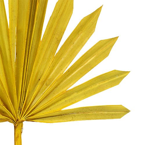 Article Palmspear Soleil mini jaune 50pcs