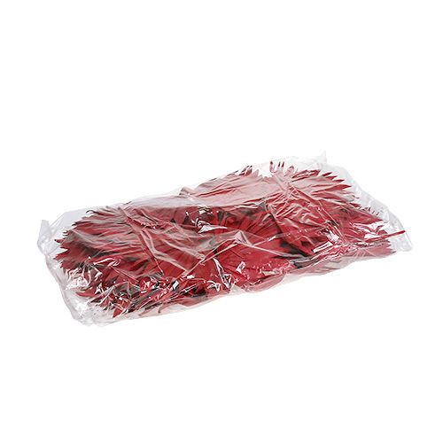 Article Palmspear Soleil mini Rouge 50 pcs
