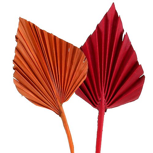 Palmspear assorti rouge/orange 50pcs