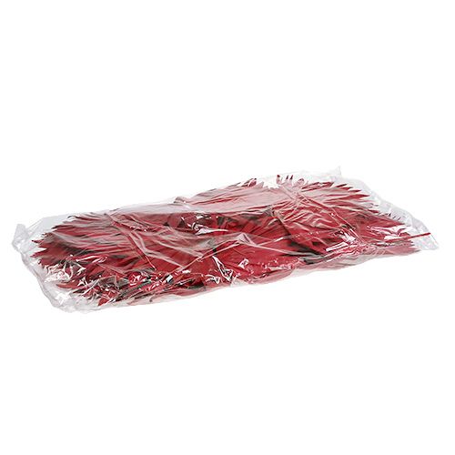 Article Palmspear mini rouge 100 pcs