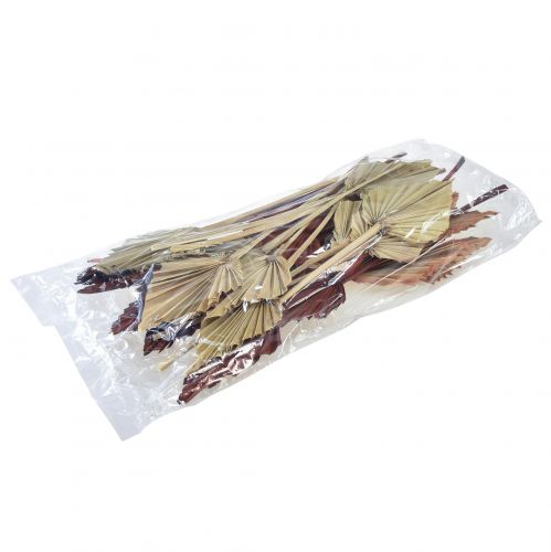 Article Palmspear mini assortis Maroc 30 pcs