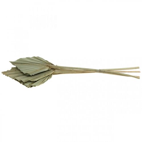 Article Mini feuille de palmier Palmspear séché Nature 33-34cm 4pcs