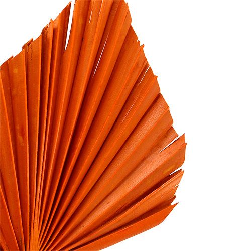 Article Palmspear Feuilles de palmier séchées Orange 65 pièces