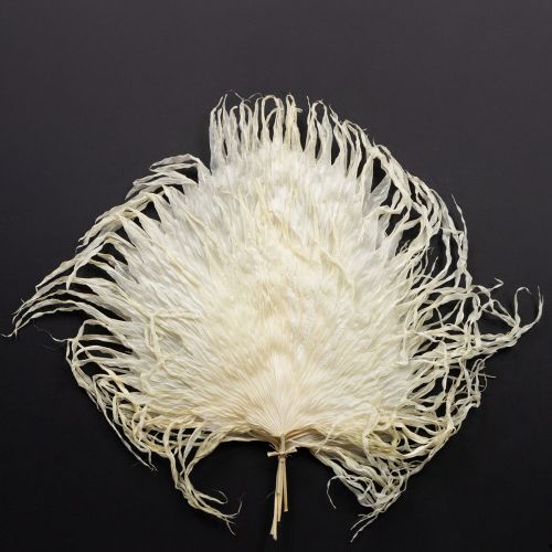 Feuilles de palmier séchées décoratives blanchies 45 cm 5 pièces