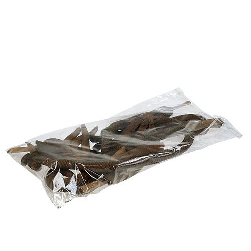 Floristik24 Cônes de palmier 3 fois décoration naturelle 10 pcs