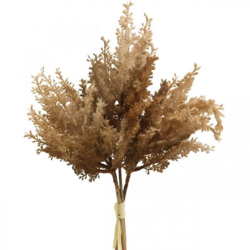 Floristik24.fr Herbe de pampa artificielle marron décoration sèche herbe  ornementale 35cm 4pcs - acheter pas cher en ligne