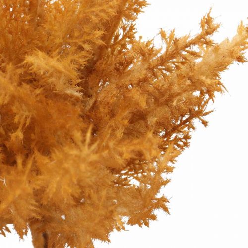 Article Herbe de pampa artificielle Herbe sèche orange 35cm 4pcs