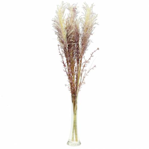 Floristik24.fr Crème d'herbe des pampas, violette Fleurs séchées  artificielles 3pcs - acheter pas cher en ligne