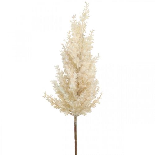 Floristik24 Pampas Herbe Crème Artificielle Sec Floristique Déco Herbe 72cm