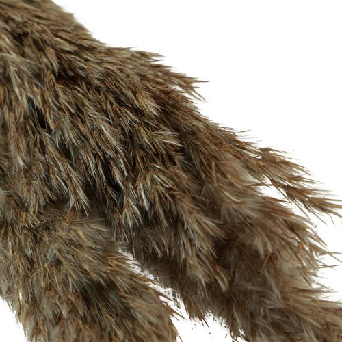 Article Herbe de pampa séchée herbe sèche décorative naturelle 95cm 3 pcs