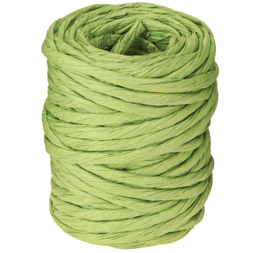 Floristik24 Cordon décoratif vert en papier sans fil largeur 6 mm 23 m