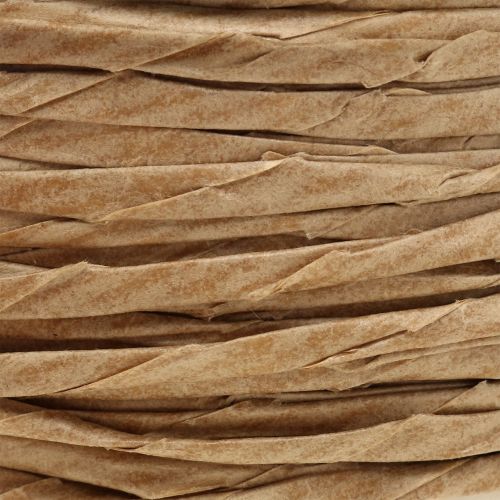 Floristik24 Cordon de papier sans fil de fer Ø 3 mm 40 m, naturel