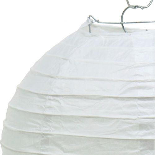 Floristik24 Lanterne en Papier Blanc Ø30cm