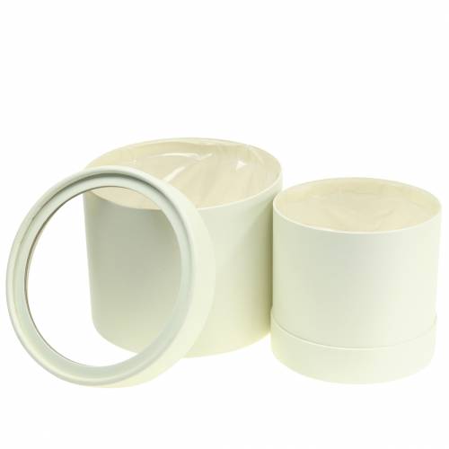 Floristik24 Jardinière ronde en carton crème Ø12,5/16cm lot de 2