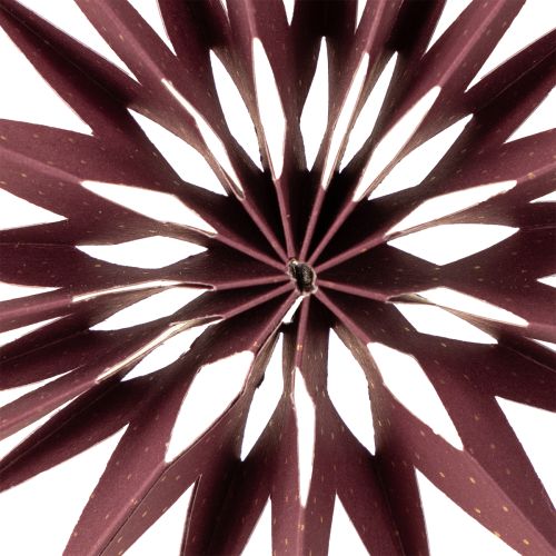 Article Étoiles en papier, rose bordeaux, à suspendre, Ø 10 cm, lot de 4