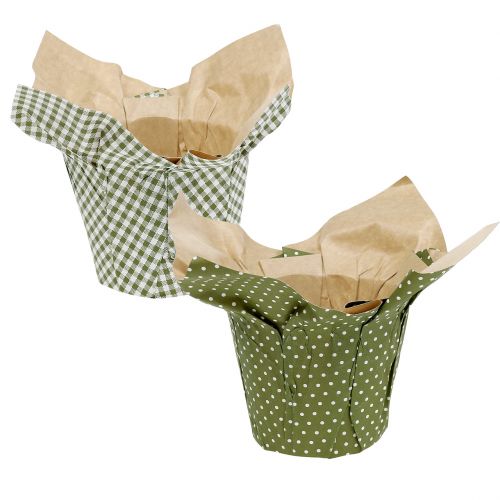 Jardinière en papier à motifs vert-blanc Ø11,5cm 8 pcs