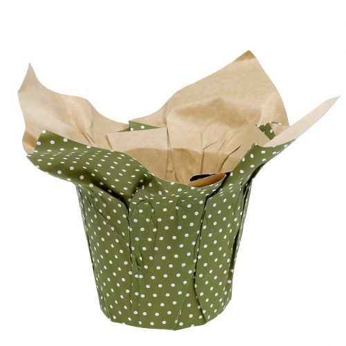 Article Jardinière en papier à motifs vert-blanc Ø11,5cm 8 pcs
