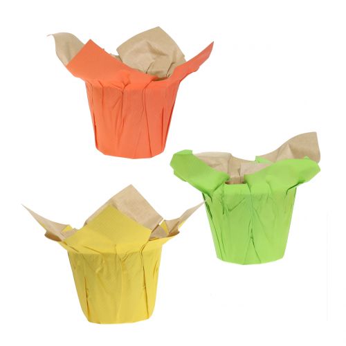 Floristik24 Pots en papier vert, orange, jaune Ø8cm 12pcs