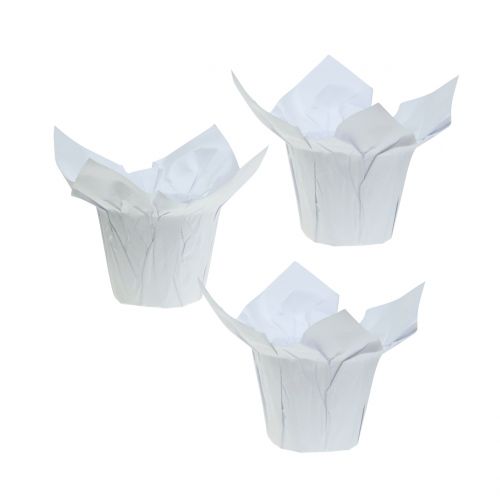 Floristik24 Jardinières en papier blanc Ø8cm 12pcs