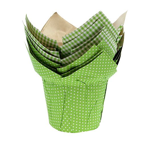 Floristik24 Pot en papier Ø12cm H9cm vert assortiment. 8 pièces