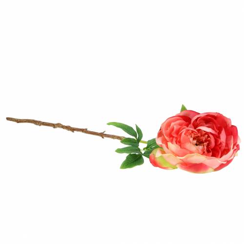 Floristik24 Pivoine fuchsia 59 cm