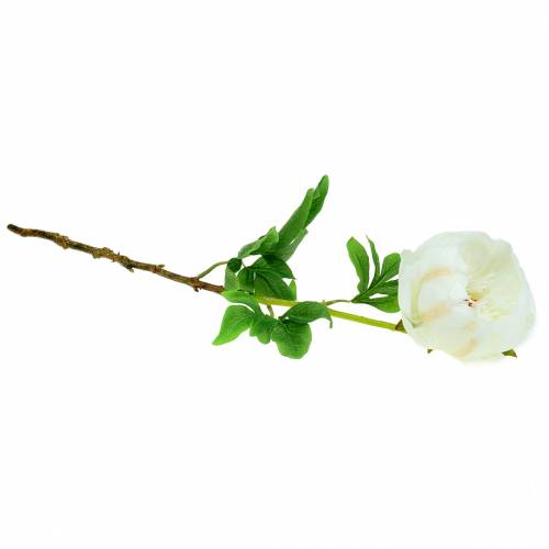 Floristik24 Pivoine blanche 59 cm