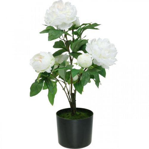 Article Paeonia artificielle, pivoine en pot, plante décorative fleurs blanches H57cm