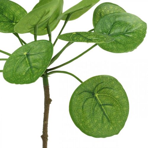 Floristik24 Peperomia Plante verte artificielle avec feuilles 30cm