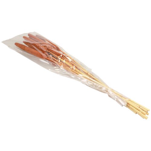 Article Epis de millet perle Mil à chandelle déco Marron 70cm 10pcs