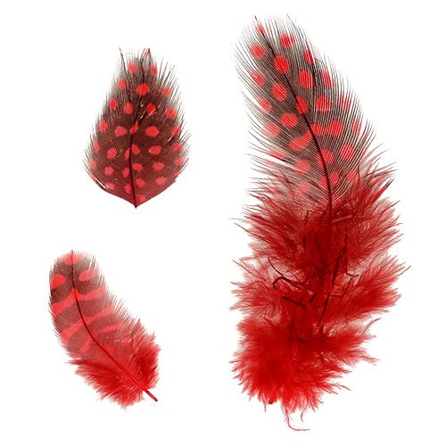Article Plumes de pintade Faraona 30g rouge