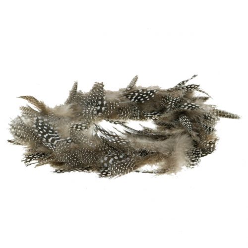Floristik24 Couronne de plumes de pintade Ø16cm