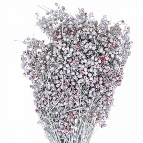 Baies de poivre recouvertes de neige, décorations d&#39;hiver, fleurs séchées, avent, poivre rose blanchi 170g