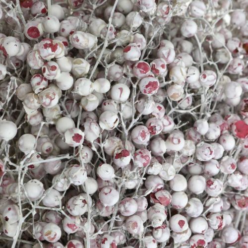 Floristik24 Baies de poivre enneigé, décoration hivernale, fleurs séchées, Avent, poivre rose lavé blanc 170g