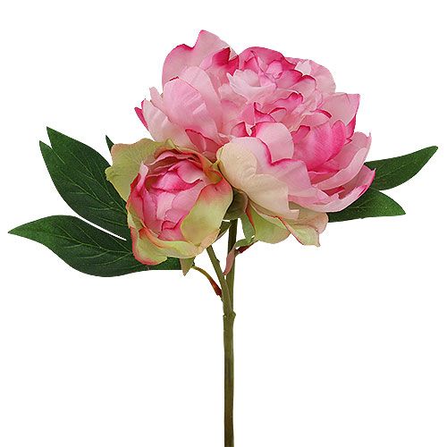 Floristik24 Pivoines avec bouton rose L30cm 2pcs