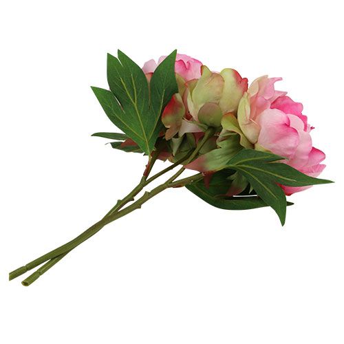 Floristik24 Pivoines avec bouton rose L30cm 2pcs