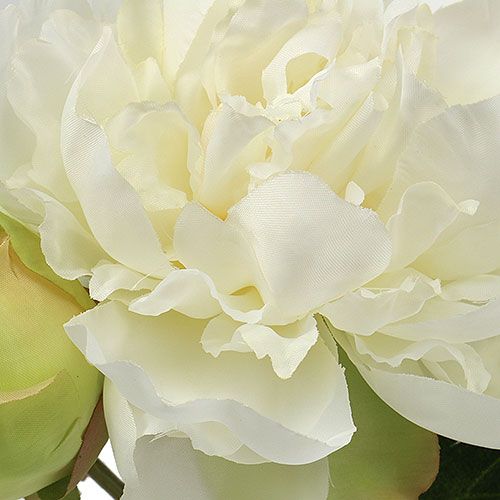 Floristik24 Pivoines avec bourgeon blanc L30cm 2pcs