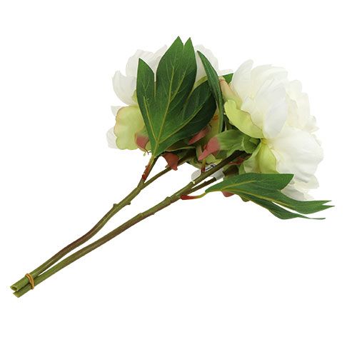 Floristik24 Pivoines avec bourgeon blanc L30cm 2pcs