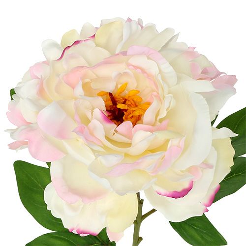 Article Pivoine Crème-Rose 78cm