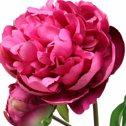 Floristik24 Pivoine fleur artificielle avec fleur et bourgeon violet magenta 68cm