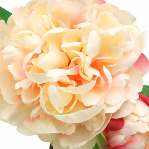 Floristik24 Pivoine avec fleur et bourgeon pêche artificielle 70cm