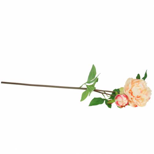 Floristik24 Pivoine avec fleur et bourgeon pêche artificielle 70cm
