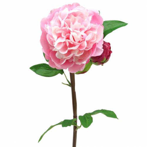 Floristik24 Fleur artificielle pivoine avec fleur et bourgeon rose 68cm