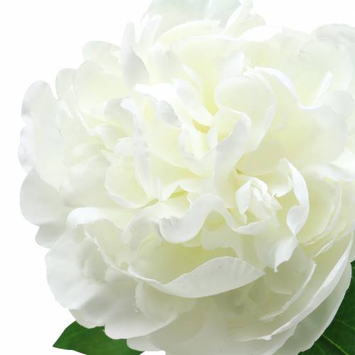 Floristik24.fr Pivoine blanche 72cm - acheter pas cher en ligne