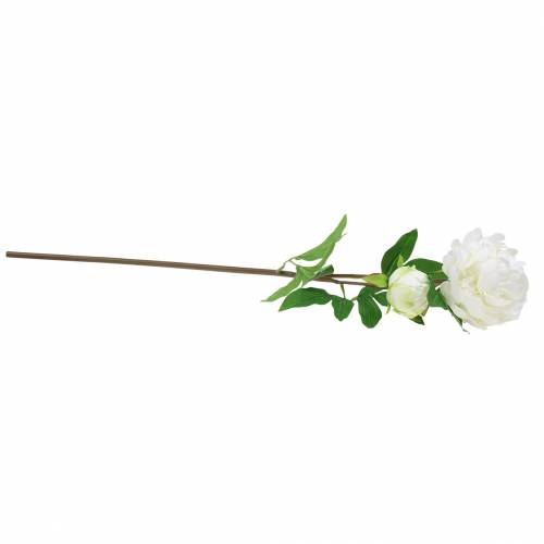 Floristik24 Pivoine blanche 72cm