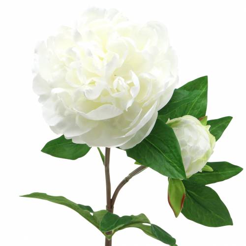 Floristik24.fr Pivoine blanche 72cm - acheter pas cher en ligne