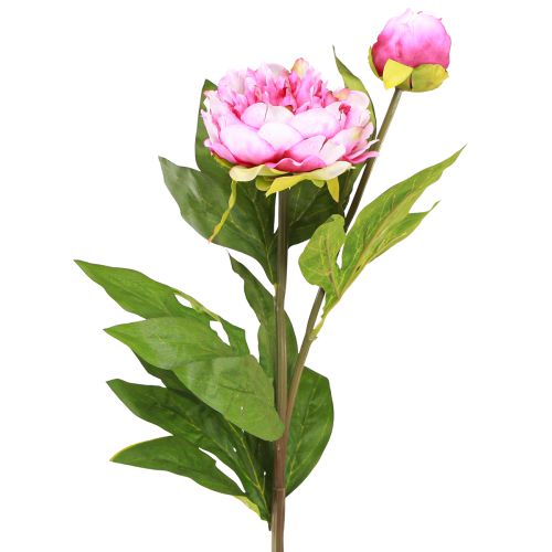 Floristik24 Pivoines Fleurs Artificielles à Longue Tige Rose 70cm 3pcs