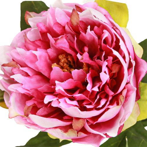 Article Pivoines Fleurs Artificielles à Longue Tige Rose 70cm 3pcs